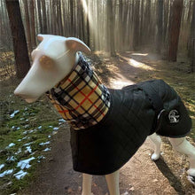 Load image into Gallery viewer, quilted drydogs designer dog wear for whippets
