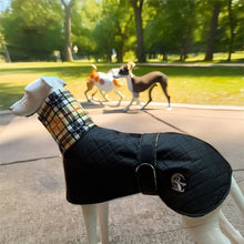 Load image into Gallery viewer, quilted drydogs designer dog wear for greyhounds
