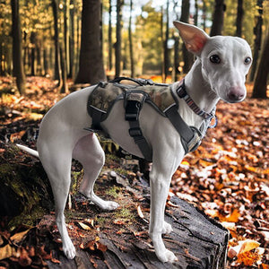 snake camouflage whippet harness