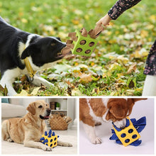 Load image into Gallery viewer, Square Snuffle Toy for Dogs
