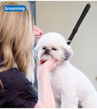 Load image into Gallery viewer, grooming leash for dogs suction cup
