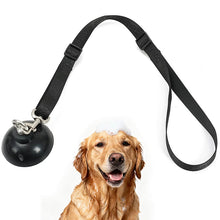 Load image into Gallery viewer, bathing leash for dogs
