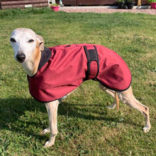 Load image into Gallery viewer, warm weather whippet coat with harness hole
