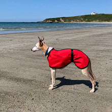 Load image into Gallery viewer, summer whippet coats
