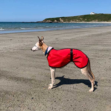 Extra Lightweight Unlined Summer Whippet Coat Red