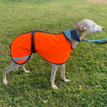 Load image into Gallery viewer, 24-26&#39;&#39; Lightweight Unlined Summer Whippet Coat Royal Blue (3522)
