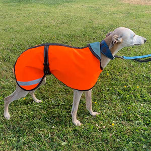 21-24''   Whippet Coat Hi-Vis yellow fleece lined (3489)