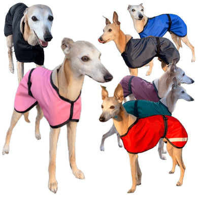 Summer whippet coats all colours. Trendy whippets on display. Sighthound dog coats