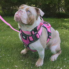 Load image into Gallery viewer, k9 heavy duty pink tactical dog harness

