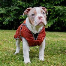 Load image into Gallery viewer, terracotta dog coat with harness hole
