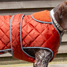 Load image into Gallery viewer, heritage county pursuit dog coat
