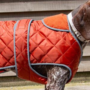 heritage county pursuit dog coat