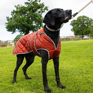 terracotta dog coat with harness hole and belly protection