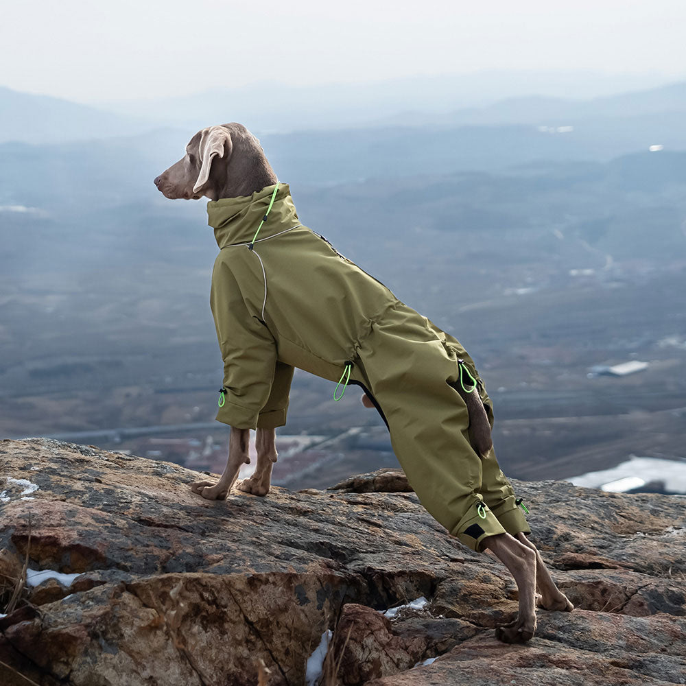 fleece lined, full leg dog trouser suit for winter