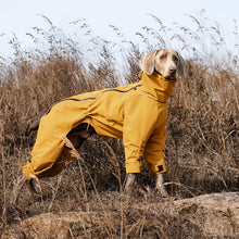 Load image into Gallery viewer, fleece lined, full leg dog trouser suit for winter
