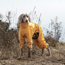 Load image into Gallery viewer, fleece lined, full leg dog trouser suit for winter
