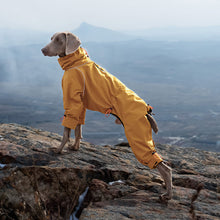 Load image into Gallery viewer, fleece lined, full leg dog trouser suit for winter

