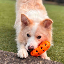 Load image into Gallery viewer, tough floating dog toy donut with strap
