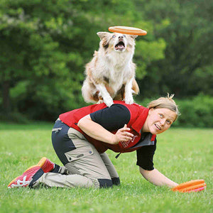 Tournament grade flying dog disc