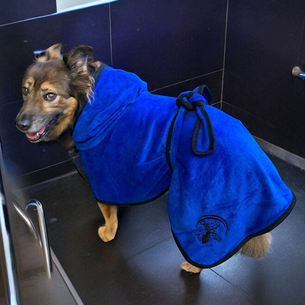 towelling robe for dogs blue