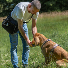 Load image into Gallery viewer, Large Dog Walking Shoulder Bag

