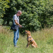 Load image into Gallery viewer, Large Dog Walking Shoulder Bag
