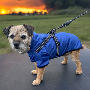 blue summer dog coat with built in harness
