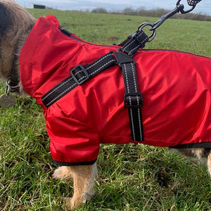 built in harness red waterproof dog coat