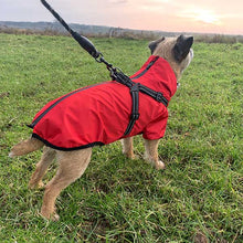 Load image into Gallery viewer, red dog coat with waterproof zip and harness
