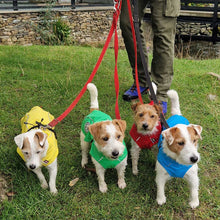 Load image into Gallery viewer, Four small dogs wearing colorful dog jackets in yellow, green, red, and blue, standing on a grassy lawn while being led by a person holding red and black leashes.
