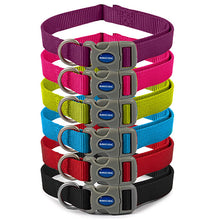 Load image into Gallery viewer, dog collar colourful all weater ideal for swimming
