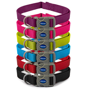 dog collar colourful all weater ideal for swimming