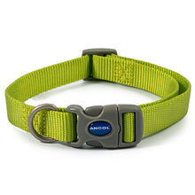 Load image into Gallery viewer, dog collar colourful all weater ideal for swimming
