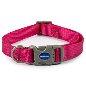 dog collar colourful all weater ideal for swimming