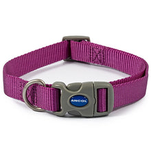 Load image into Gallery viewer, dog collar colourful all weater ideal for swimming
