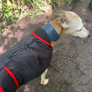 zip close/open harness hole. Waterproof whippet / greyhound coat