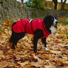 Load image into Gallery viewer, 3-in-1 Dog Coat
