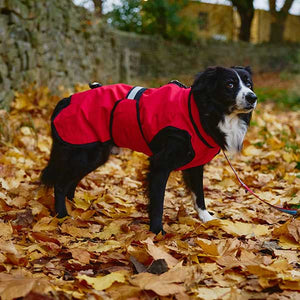 3-in-1 Dog Coat