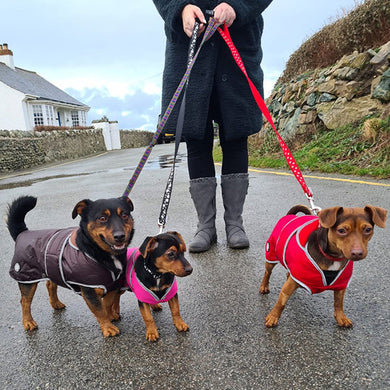 waterproof dog coats with harness holes