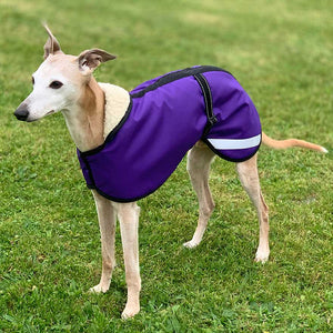 purple whippet coat, waterproof