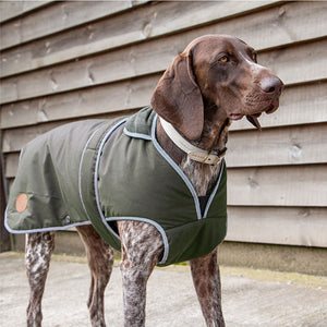 wax dog coat with harness hole and belly protection