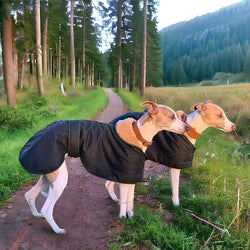 sleek italian greyhound clothes Lightweight Four-Leg Fleece Inner Coat –  Sleek