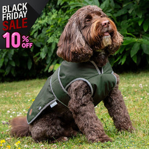 wax dog coat with harness hole and belly protection