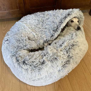 whippet cave bed