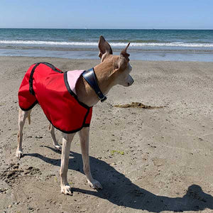 unlined whippet coats for summer showers