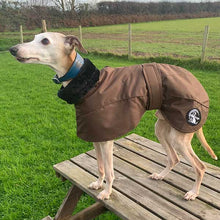 Load image into Gallery viewer, chocolate brown ofira whippet coat from drydogs
