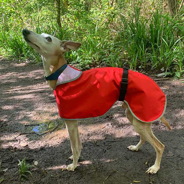 Lurcher coat with harness hole best sale