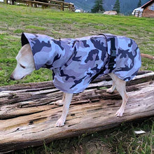 Load image into Gallery viewer, Camouflage whippet and greyhound coats with harness hole
