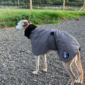 winter whippet jacket with snood