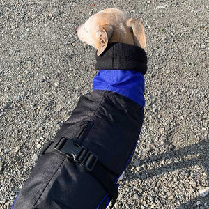23'' Blue Felton - Sighthound Coat with Underbelly and Harness Hole (3556)